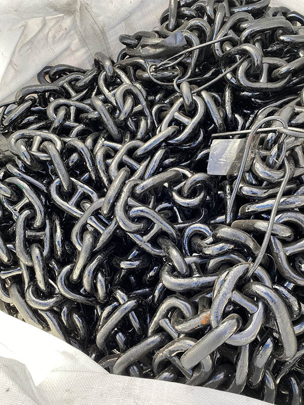 Grigliata mista di pesce – Orata, 4 gamberoni, 4 calamari, tonno per 2 Grigliata mista di pesce – Orata, 4 gamberoni, 4 calamari, tonno per 2
